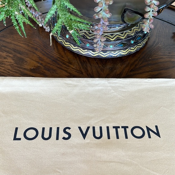 Like New Louis Vuitton Dustbag - Picture 2 of 8